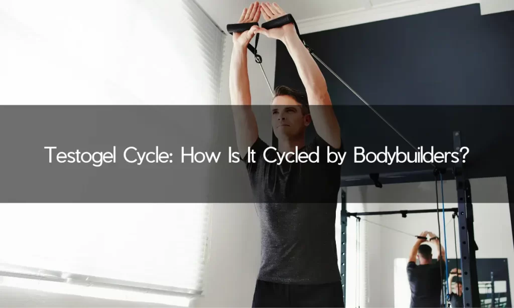 Testogel Cycle: How Is It Cycled by Bodybuilders?
